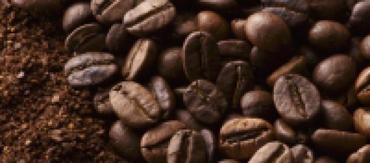 Cung cấp cà phê hạt nguyên chất Tại Miền Trung